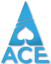 Ace Professional Services